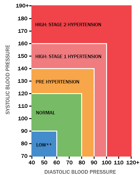 Blood pressure scale